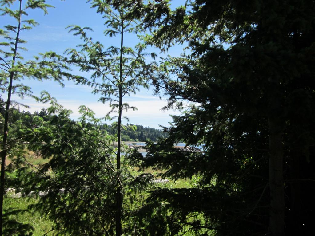 Oceanside Resort Powell River Ngoại thất bức ảnh